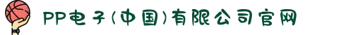 PP电子(中国)有限公司官网